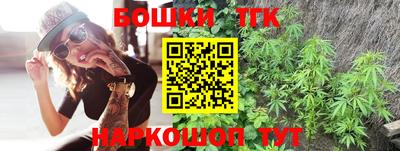 твердый Бийск