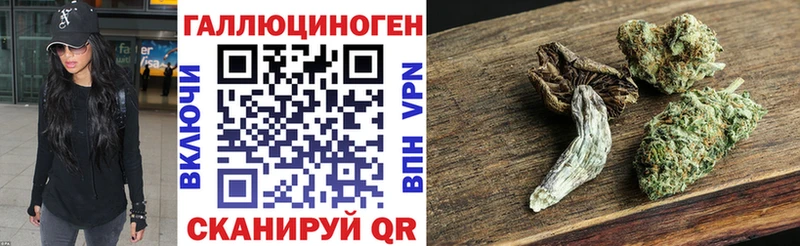 Псилоцибиновые грибы мицелий  цены   даркнет какой сайт  Новоалтайск 