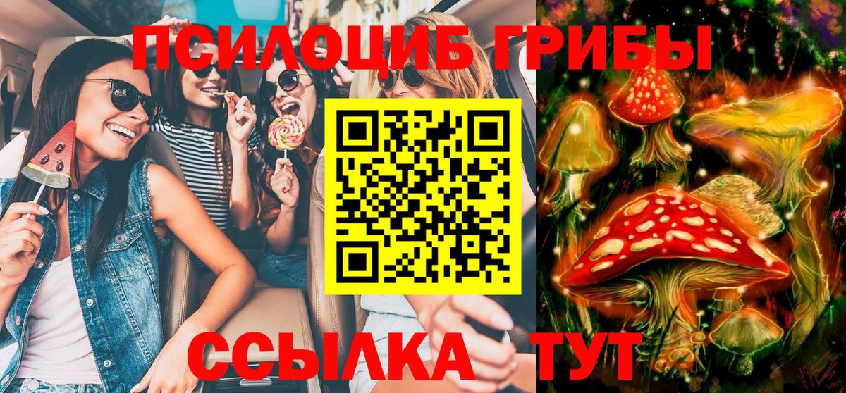 Галлюциногенные грибы Magic Shrooms Новоалтайск