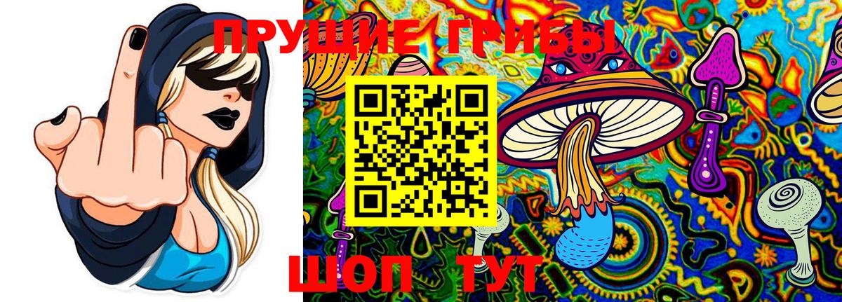 Псилоцибиновые грибы мухоморы Новоалтайск