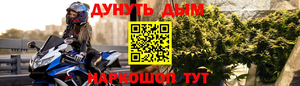 Конопля Bruce Banner Новоалтайск